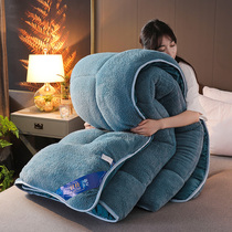 Lambskin quilt winter quilt dormitory single student thickened warm four seasons universal quilt double cotton