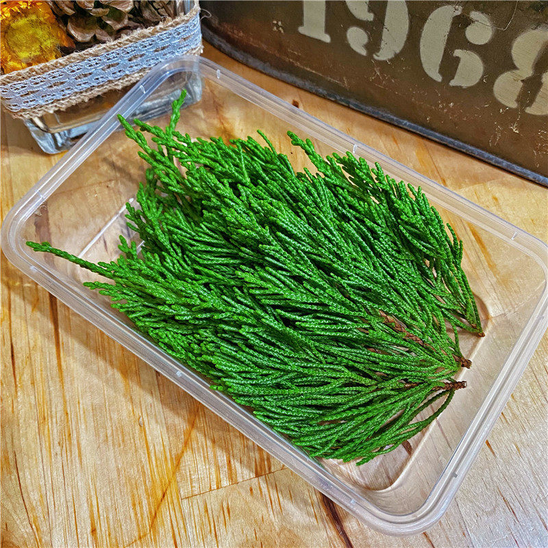 BX62圣诞装饰松真松新鲜绿松松枝松叶松针鲜切diy材料包手工料理-阿里巴巴