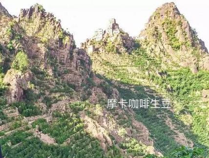 Yemen's Mocarcoe mixed boutique coffee raw beans new 2022 500g