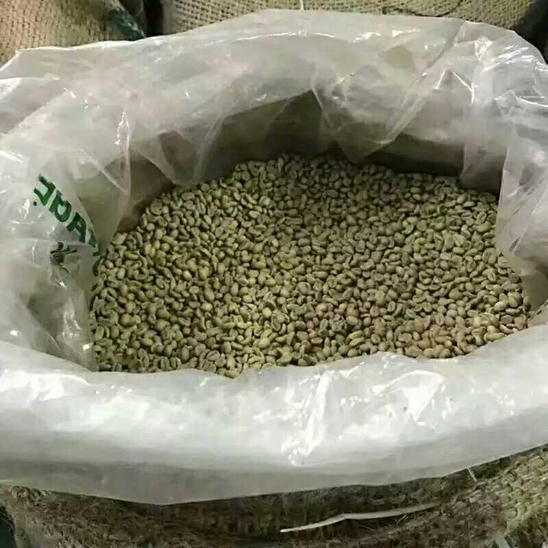 Ethiopian (New Candlelight) Coffee Bean Raw Bean Guji Solar 1000g New