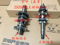  Integrity accessories Zongshen (winner)gear teeth ZS250GS main and auxiliary combination gear teeth