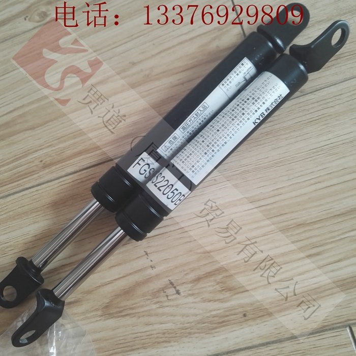 FGSS22050A B FGSS22050C D A B C D Day for original kayaba gas spring KYB