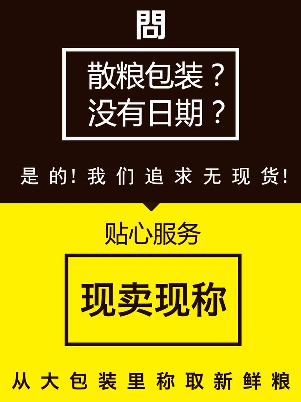 成犬 Tất cả thức ăn cho chó VIP Teddy Tóc vàng Lông sáng thức ăn cho chó phốc hươu