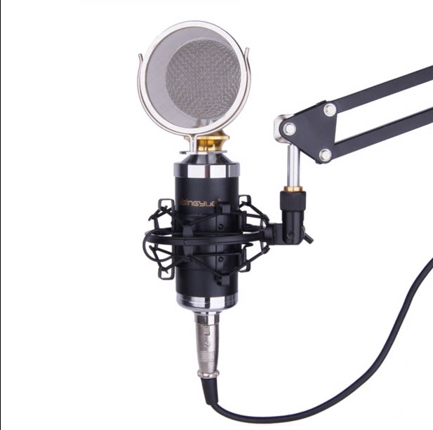 Small milk bottle K19 k16 k30 k30 microphone capacitor microphone YY recording delivery cantilever