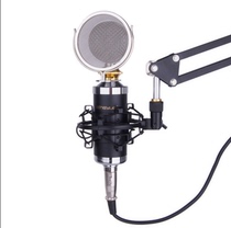 Small bottle K19 k16 k30 condenser microphone microphone YY recording send cantilever