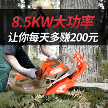 New five-generation Pu Su bald head strong chain saw Logging saw imported configuration gasoline saw hand-held home high-power chain