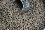 Глаза -Eye Bird Food Comped Водонепроницаемые и красивые глазные бровь, грудастая птица акация, птичья пища