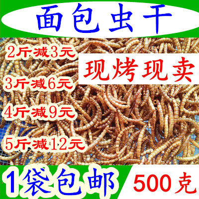 Bread worm dry hamster food snack fish food fish feed turtle food myna bird food myna bird food hedgehog food