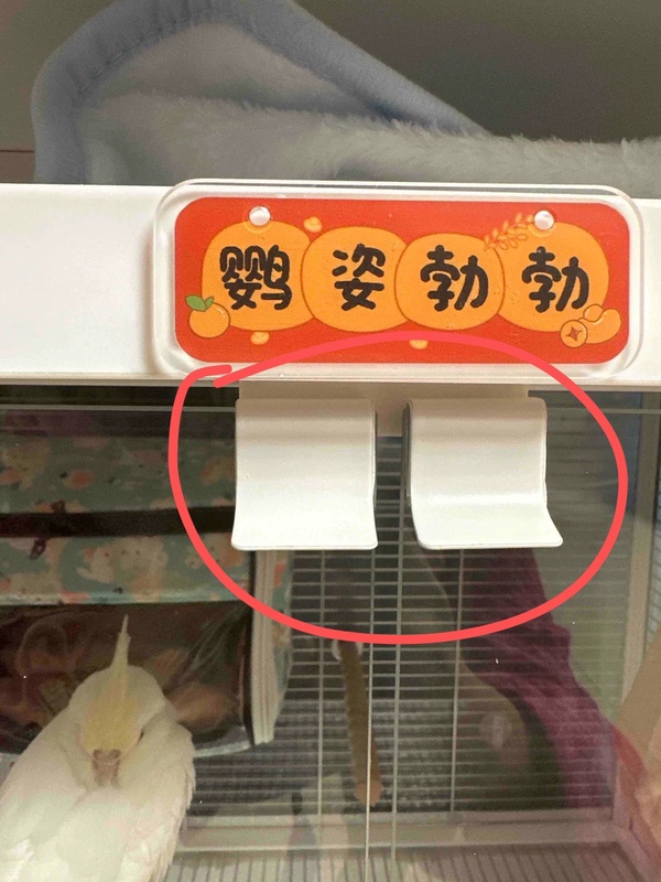 B6001 Bird Cage Door Handle with Adhesive, Non-Returnable Accessories, Dayang Bird Cage Accessories 4001 Glass Top Cover