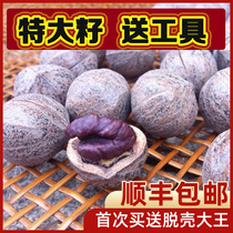 Extra large pecans non-hand peeling 2021 New Linan small walnut pepper salt raw seeds fried wild canned walnuts