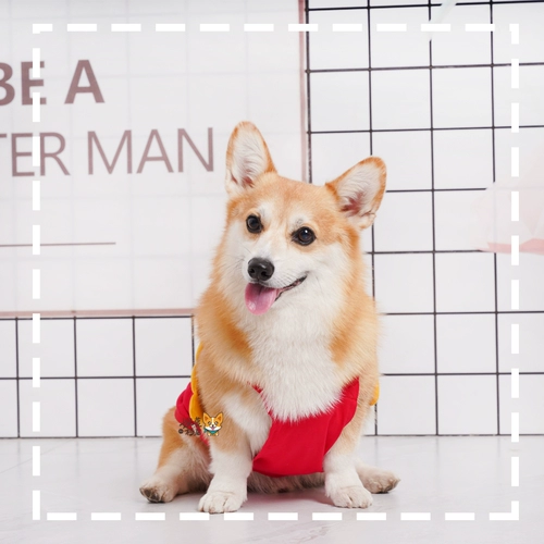 Ван -Вэлли Корки Француз Француз Француз французский французский французский французский цвет