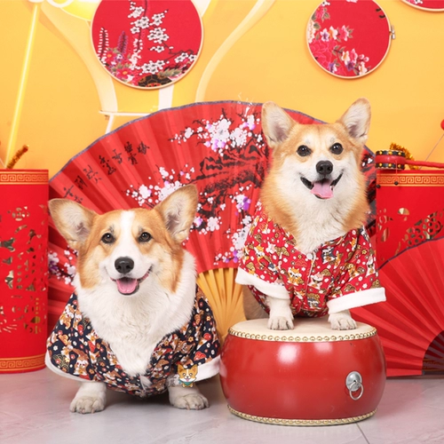 婉蔓 Корги новогодний хлопчатовод Corgi Corgi Cotton Cotton Kettement, привлечь богатство и благословения, чтобы отпраздновать новогоднюю собаку новогоднюю одежду осенью и зимний стиль, чтобы согреться