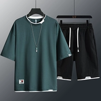 305 Moring Green 【1 Set