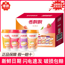 Fragrant flottant classique Goût Lait Thé 30 Cup Taro rond Taro Mango Pudding Blueberry Brewing Quick Drink