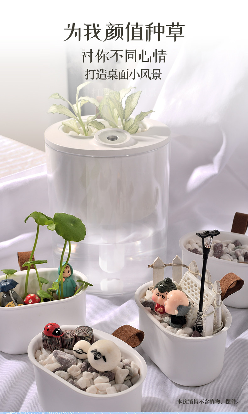 可种植物 欧科 S1 静音小型生态杯空气加湿器 天猫优惠券折后￥49包邮（￥129-80）