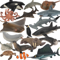 Single simulated animal ocean model solid dolphin beluga shark Penguin octopus seal seal sea lion walrus