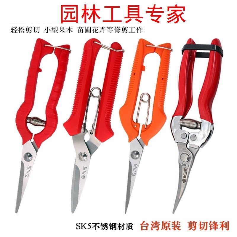 Fruit cutting scissors pruning scissors cutting branches special garden flowers special scissors florist flower arrangement cherry blossoms