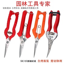 Fruit cutting scissors pruning scissors cutting branches special garden flowers special scissors florist flower arrangement cherry blossoms