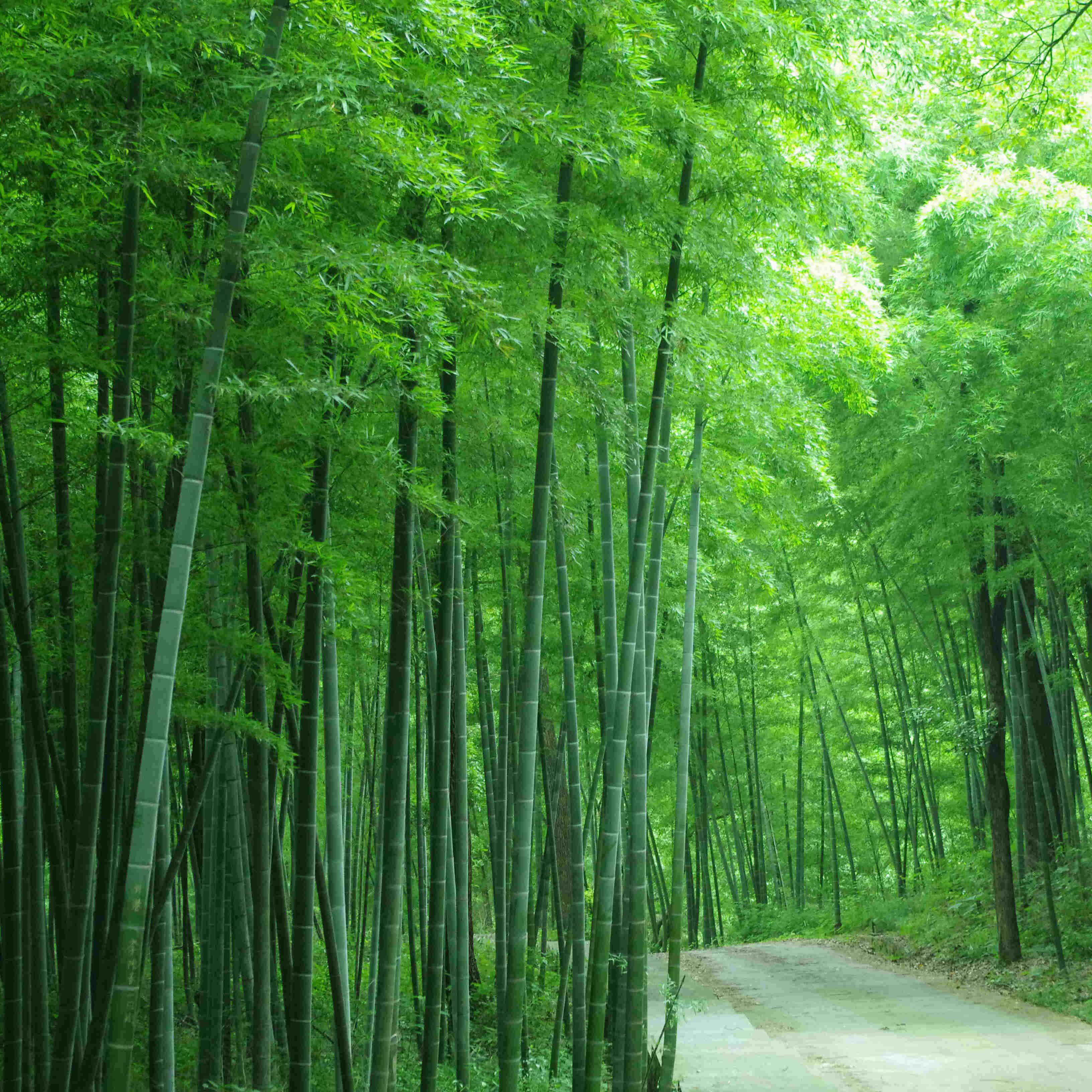 赤乡情土特产