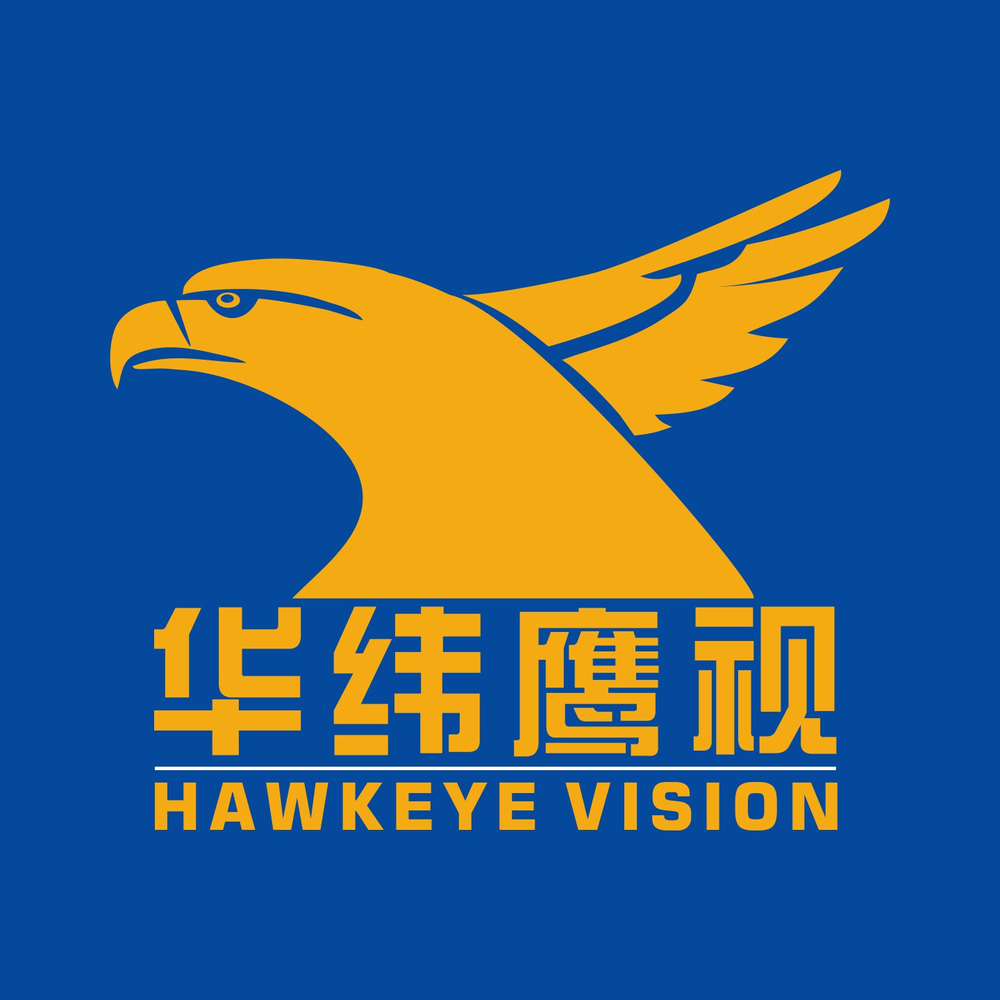华纬鹰视企业店的LOGO