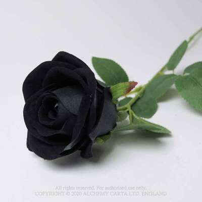 ALCHEMY GOTHIC ROSE1 Victorian Tragic Love Gothic Black Rose (Single) Silk Flower