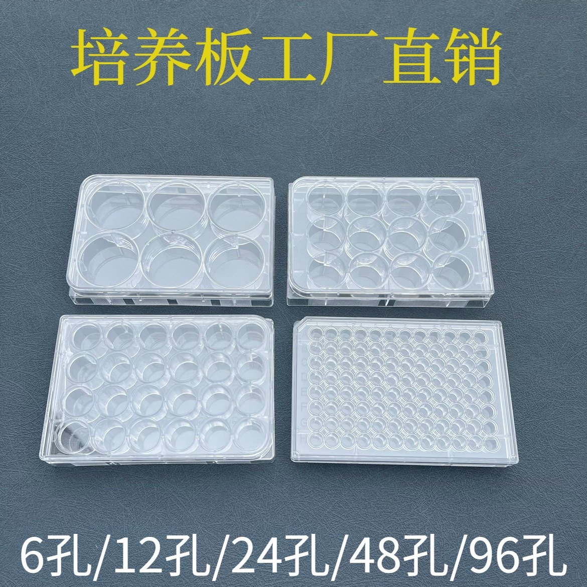 6孔/12孔/24孔/48孔/96孔培养板 一次性细菌培养板  独立灭菌包装