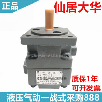 Xianju Dahua Hydraulic Co Ltd Vane pump YB1-50 YB1-63 YB1-80 YB1-100 oil pump