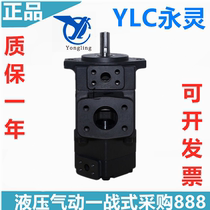 YLC Yongling vane pump PV2R12-10-41-RFAB PV2R12-10-33 41 PVL12-10-26