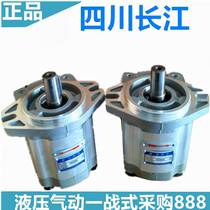 Sichuan Changjiang Hydraulic CBK1004 1006 1010 1016 1020 1025 CBK1025-A15FR