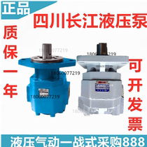 Sichuan Yangtze River hydraulic gear pump CBK1008-307R CBK1004 06 08 10-B1FR B1FL