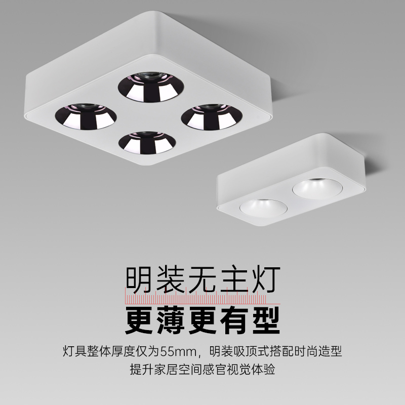 S29 ultra-thin surface mounted anti-glare spotlight double-headed square living room home professional no main light lighting design