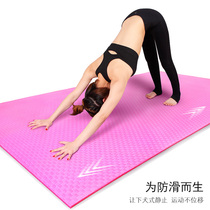 Odourless outdoor picnic mat Wild Cooking mat Mattress Mat Mattress Mat padded with cool damp and foam to cushion a whole sheet