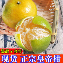 (Now picked and found) Emperor Tangerine authentic Guangxi Orange Gongtangerine current fruit citrus orange non-tangerine