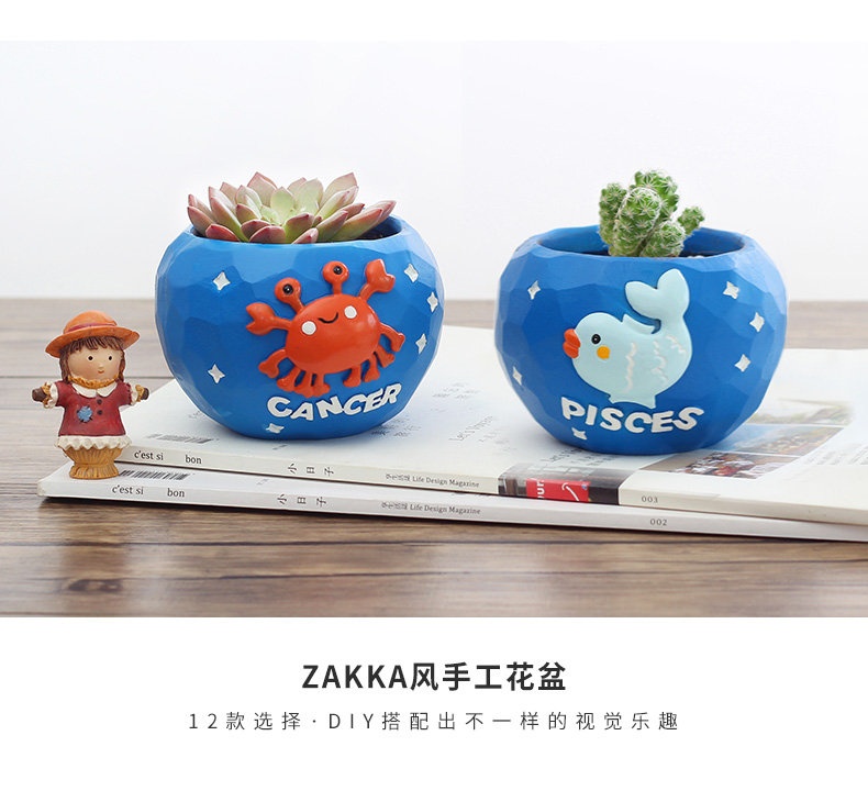 Mục vụ Sáng tạo Mười hai Sao Chòm sao Mọng nước Hoa nhỏ Động vật nhỏ Cảnh trong chậu Trang trí Hoa trang trí - Trang trí nội thất tự trang trí phòng ngủ handmade