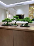 WO+симуляция подделка Bonsai приветствует сосна, сосна украшения в гостиной.