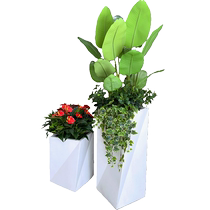 wo Simulated Anthurium Bird of Paradise Green Plant Landscape Exhibition Hall Placement Office Area Lobby Welcome Floor-standing Large Basin Decoration