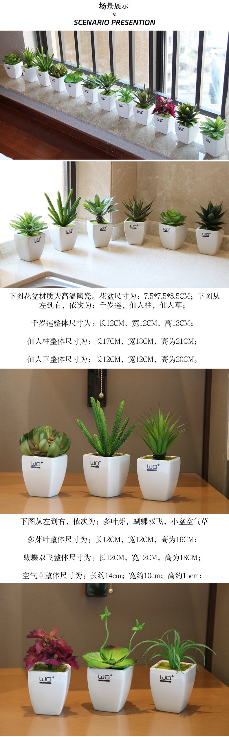 Wo 高仿真多肉绿植盆栽带陶瓷花盆清新北欧风书架洗手台装饰摆件 景德镇名瓷在线