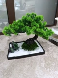 WO+симуляция подделка Bonsai приветствует сосна, сосна украшения в гостиной.