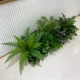 [Fern Green Planting] Жемчужный хлопок Long 100x28 см.