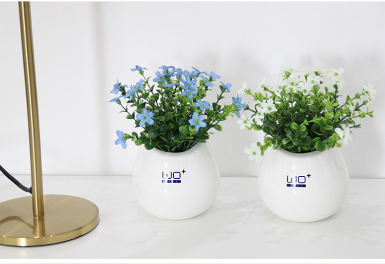 The Send + simulation flowers stars by with false ceramic basin suit bookshelf for wash one tea table and fresh flower pot