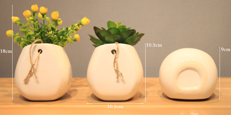 The Send + creative ceramic water infusion bag or bottle hanging vase flowerpot home furnishing articles metope adornment with simulation