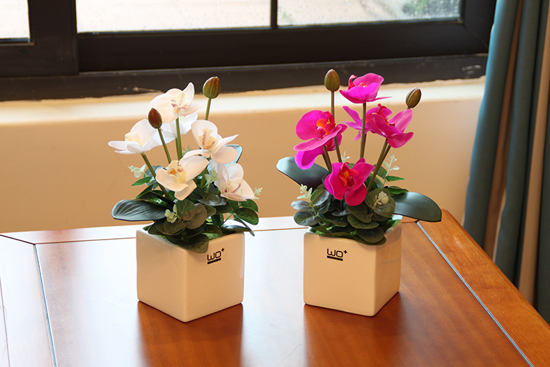 Send the PU + high simulation butterfly orchid floral suit I and contracted desktop conference decoration is seems ceramic flower pot