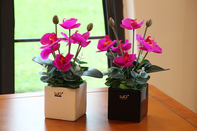 Send the PU + high simulation butterfly orchid floral suit I and contracted desktop conference decoration is seems ceramic flower pot