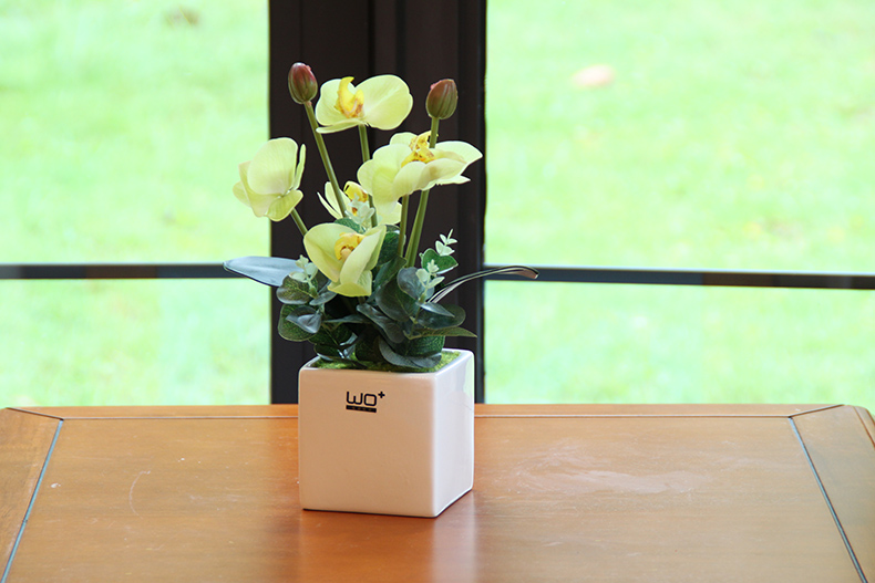 Send the PU + high simulation butterfly orchid floral suit I and contracted desktop conference decoration is seems ceramic flower pot