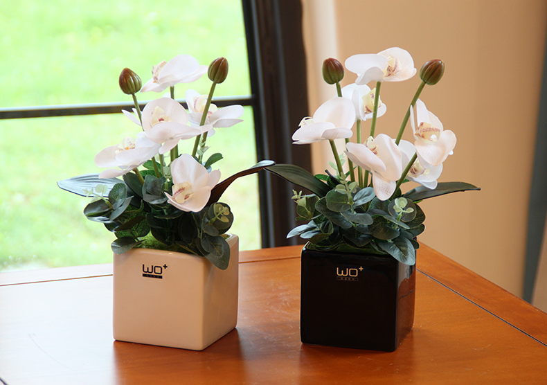 Send the PU + high simulation butterfly orchid floral suit I and contracted desktop conference decoration is seems ceramic flower pot