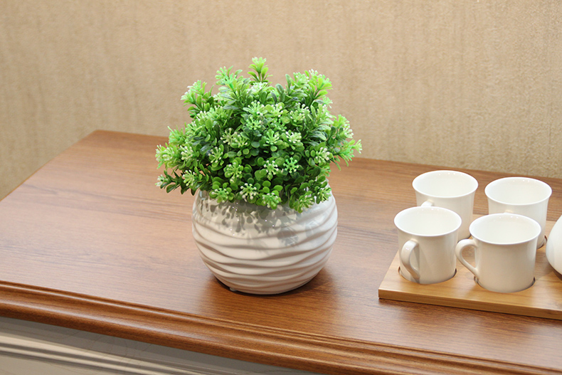 The Send + simulation eucalyptus with ceramic flower pot and fresh green plant flower the suit I and contracted household act the role ofing is tasted