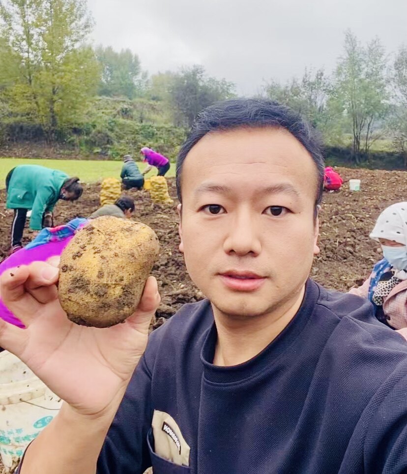 甘肃豆哥的土特产的LOGO