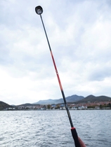 Wild flick Nest Spoon Slip Drift Fishing floating and snorkizer Divine Instrumental Corn for Bait Spoon Titanium Alloy Teething and Nest Punch