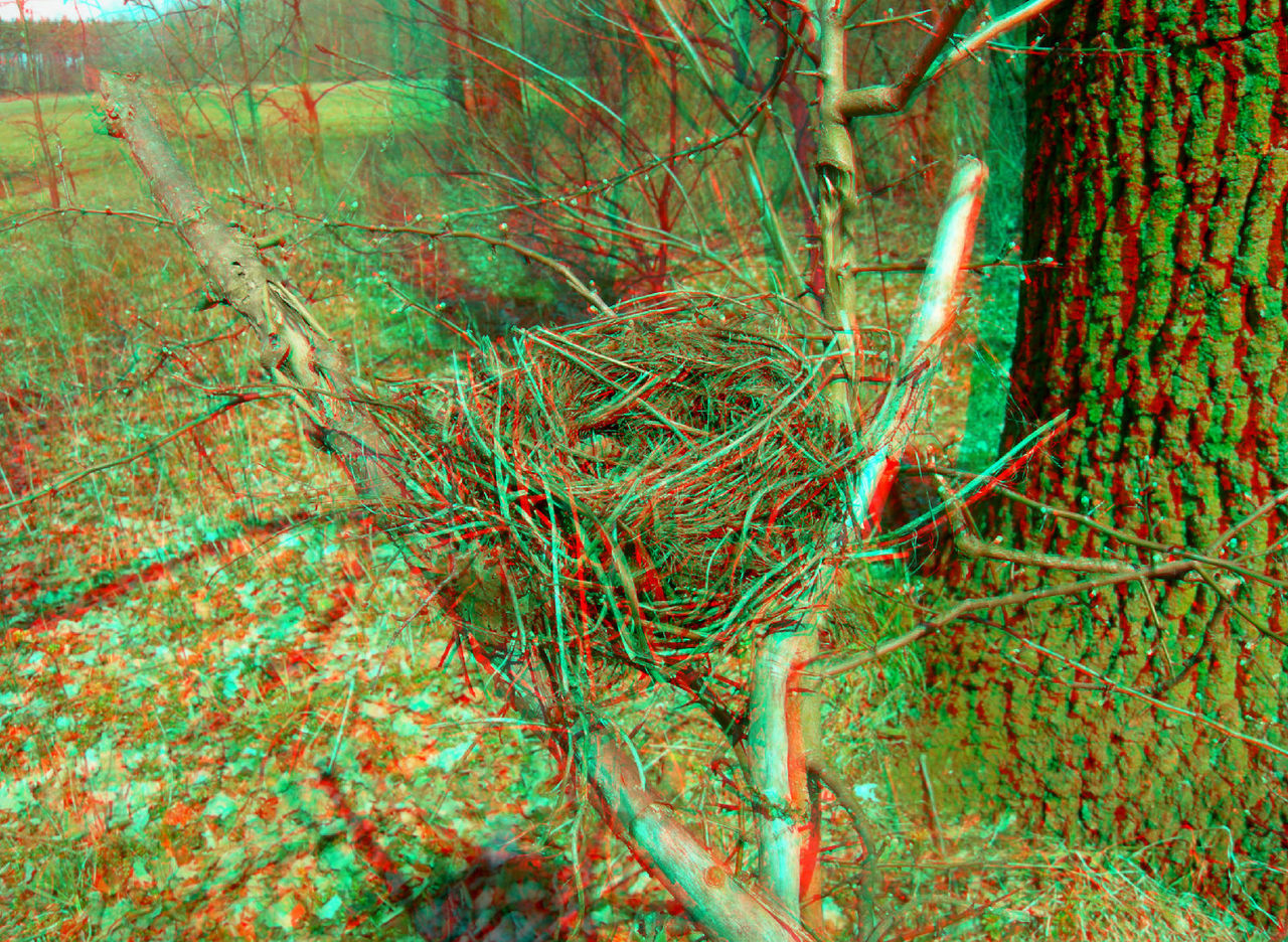 Lunettes 3D SMALL - Ref 2621493 Image 24