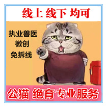 Beijing veterinarian visits the door to sterilize cat and dog vaccine Pet dog cat vaccine Triple Miao Sanduo practicing veterinarian
